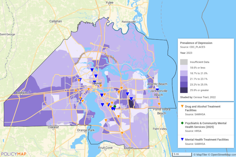 Duval County Depression Prevalence and Behavioral Health Facilities